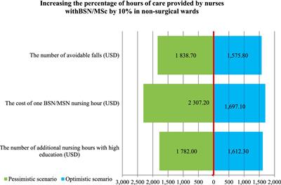 Economic evaluation of the prevention of falls resulting from missed care in polish hospitals